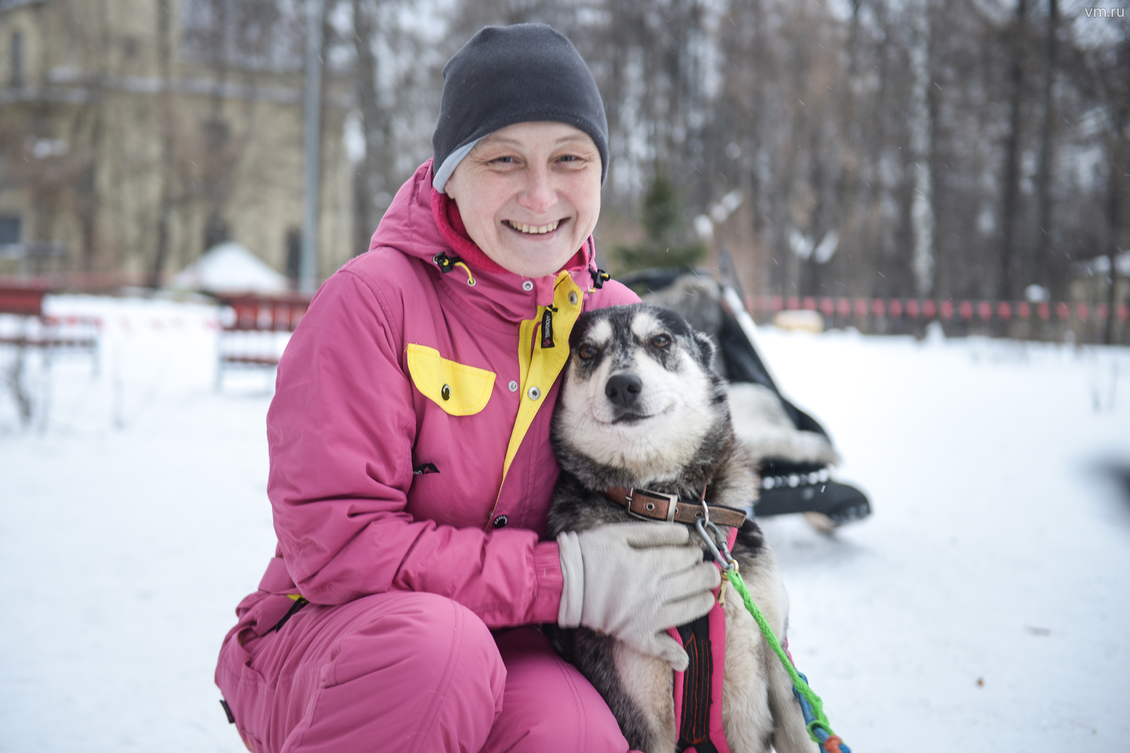 На фото каюр Хелена Юрша с одним из своих любимцев — аляскинским маламутом по кличке Кнопочка