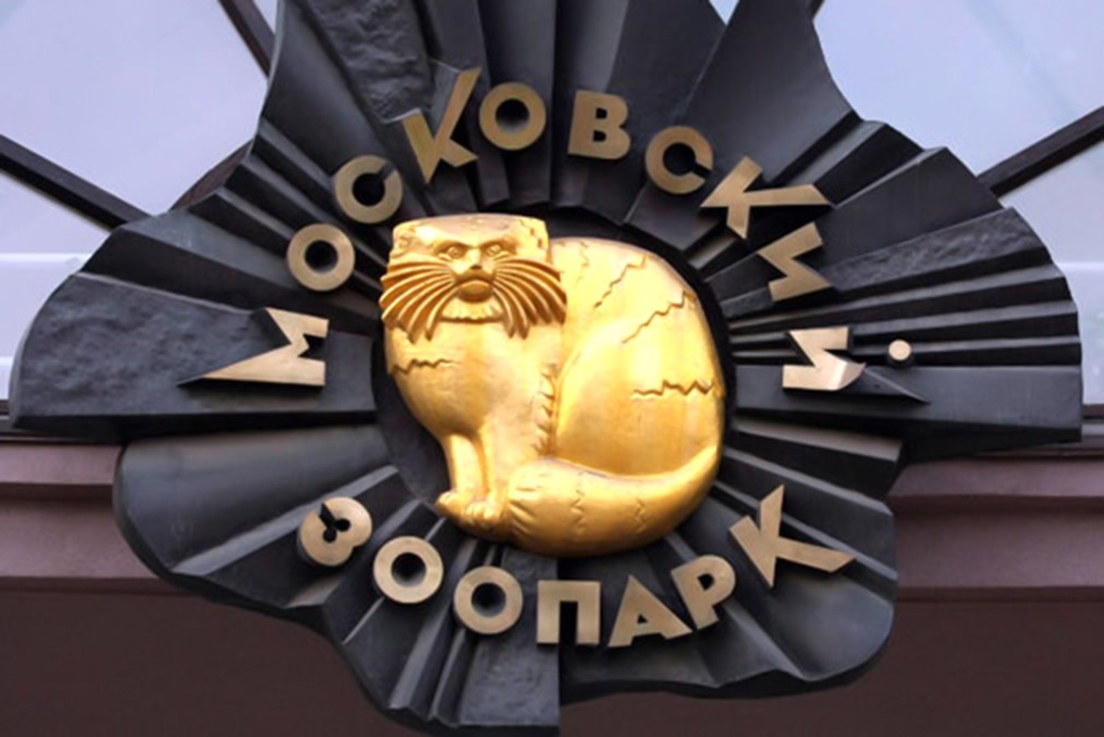 В рамках мероприятия будет рассказано о морских млекопитающих, которые обитают в морях и океанах, их видах и подвидах
