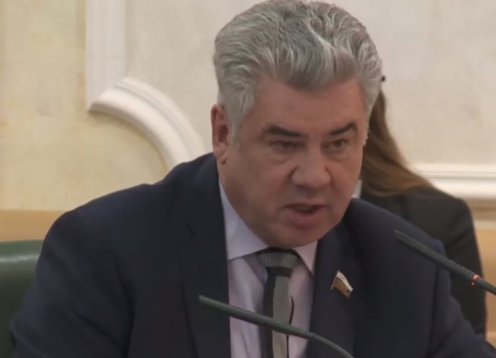 Бондарев считает, что страну нельзя защитить «стихотворениями или кисточкой»