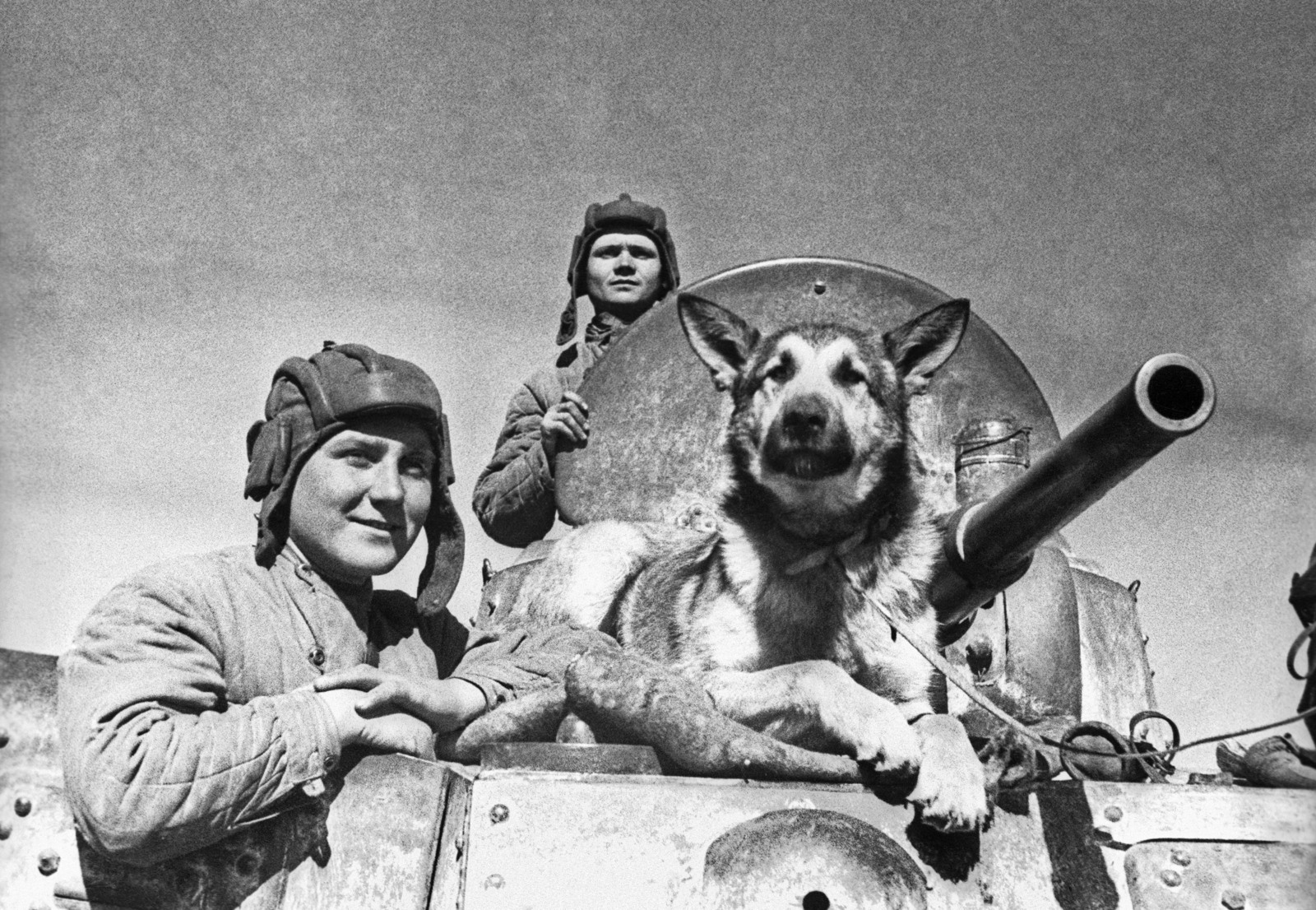 Великая Отечественная война. Южный фронт. Экипаж советского бронеавтомобиля БА-10: старший сержант Е.П. Эндрексон, сержант В.П. Поршаков, Т.Д. Деренко и овчарка Джульбарс