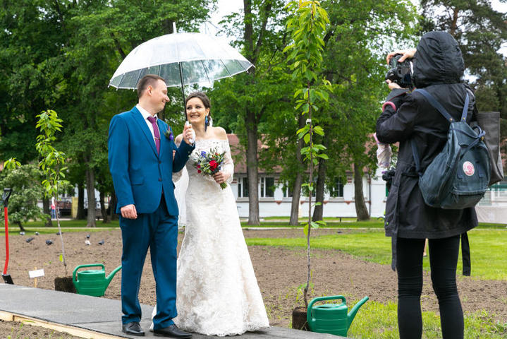 Влюбленные пары, создавшие семью, могут посадить фамильное дерево в Саду молодоженов