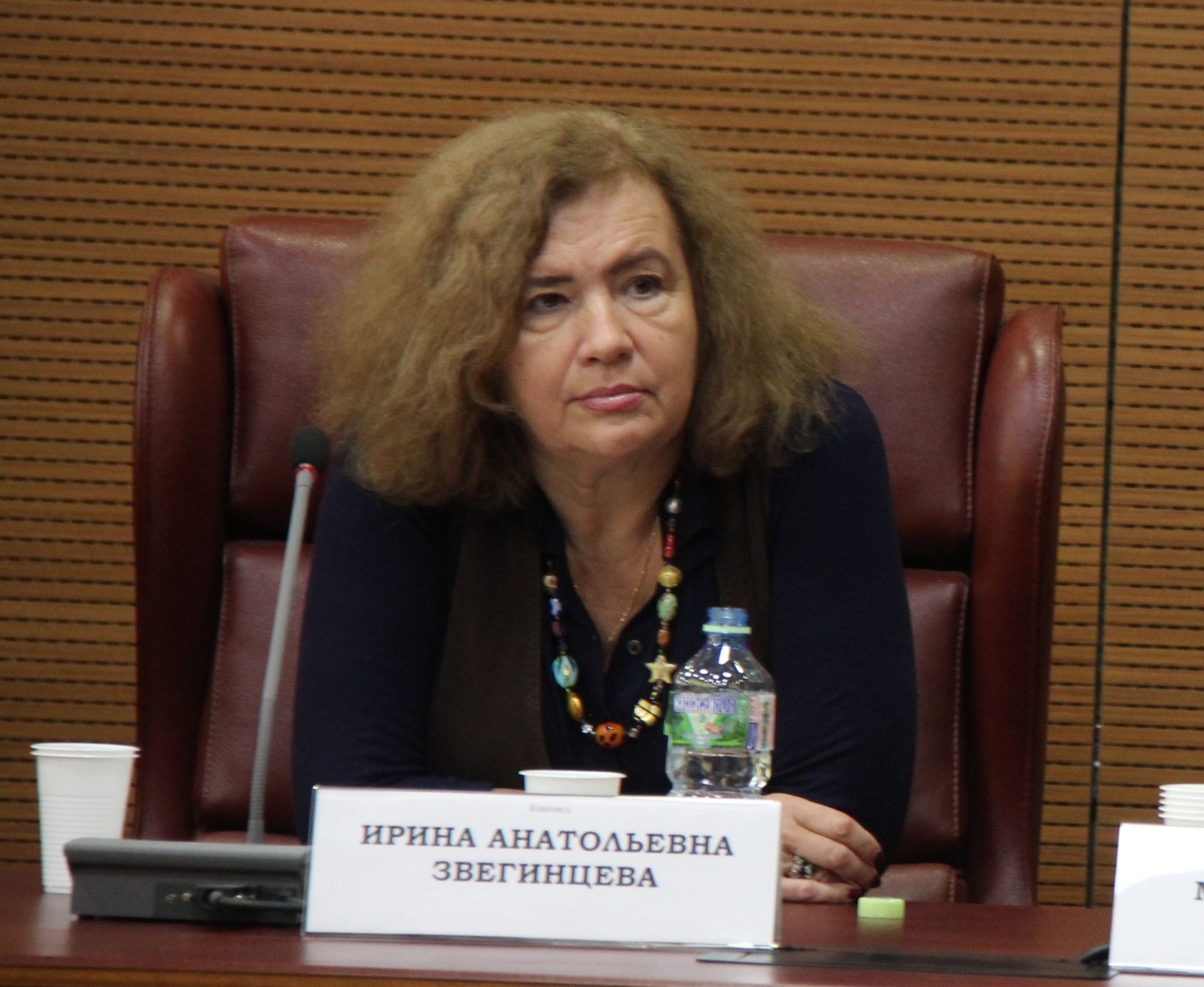 Звегинцева была членом Союза художников, академиком Международной академии радио и телевидения, автором книг о кинематографе Австралии и Новой Зеландии и не только