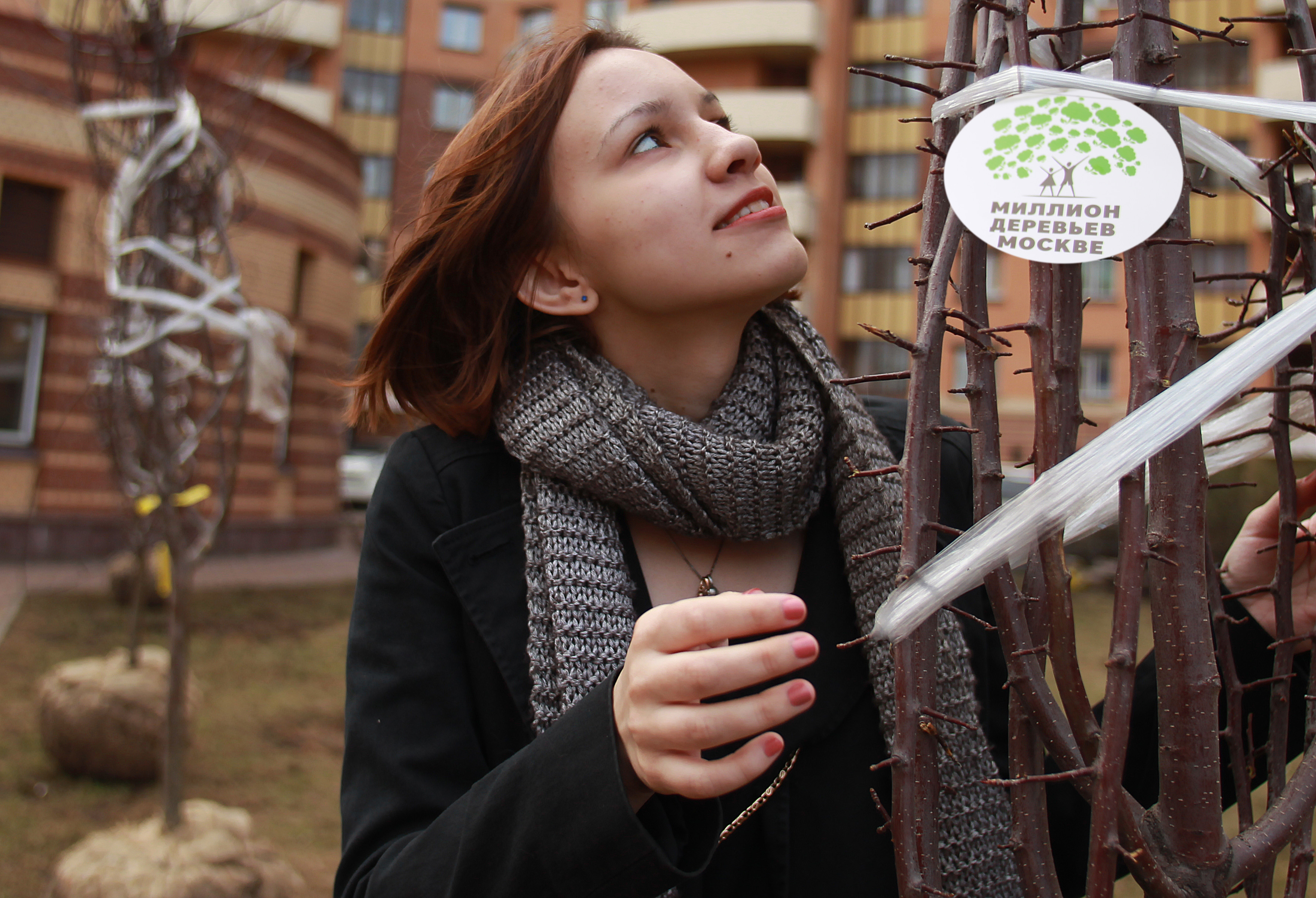 Время миллиона деревьев: горожане присоединились к новому этапу программы по озеленению Москвы