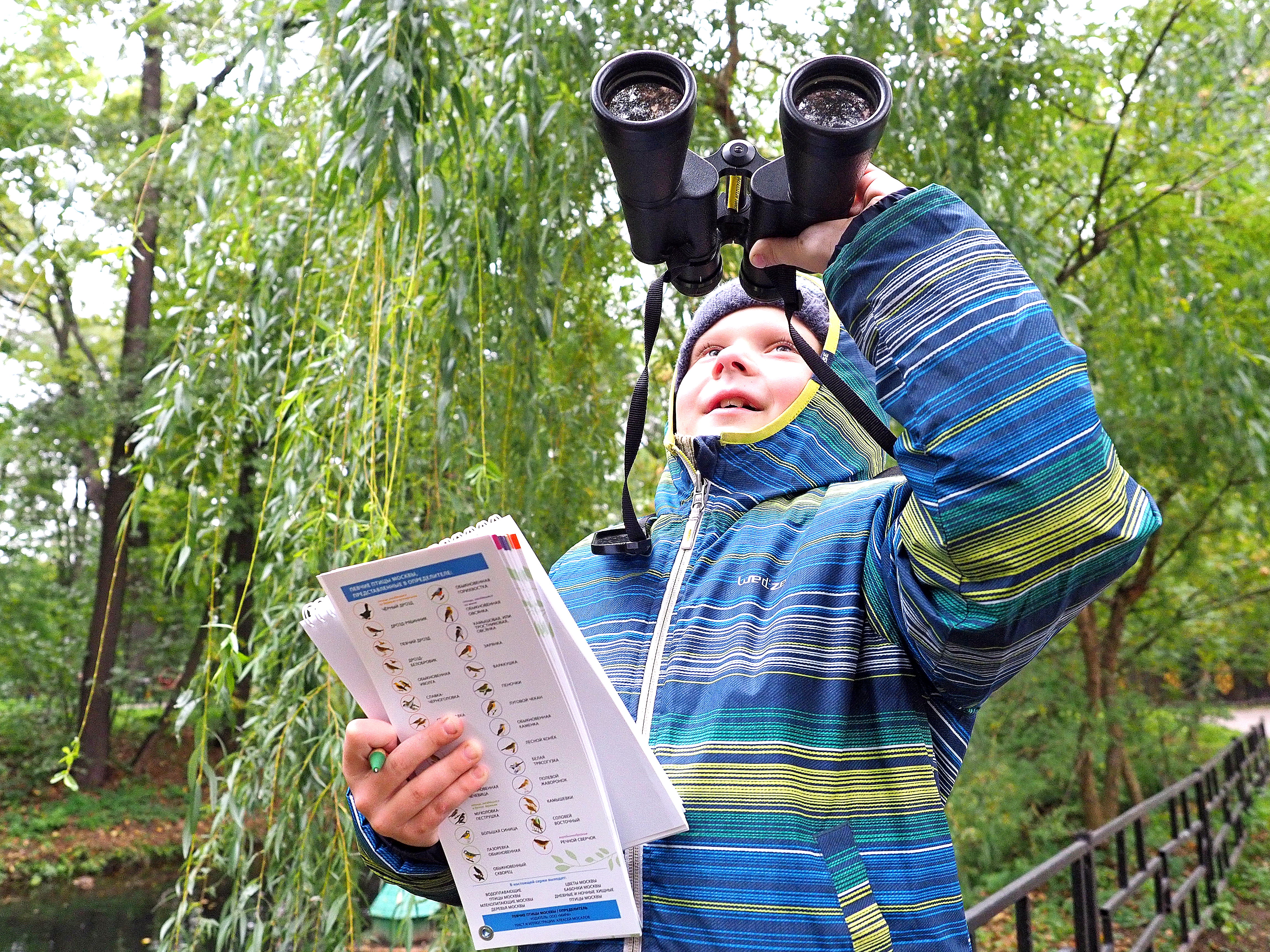 Парк «Кузьминки-Люблино» отметит Всемирные дни наблюдения за птицами лекциями и мастер-классами 