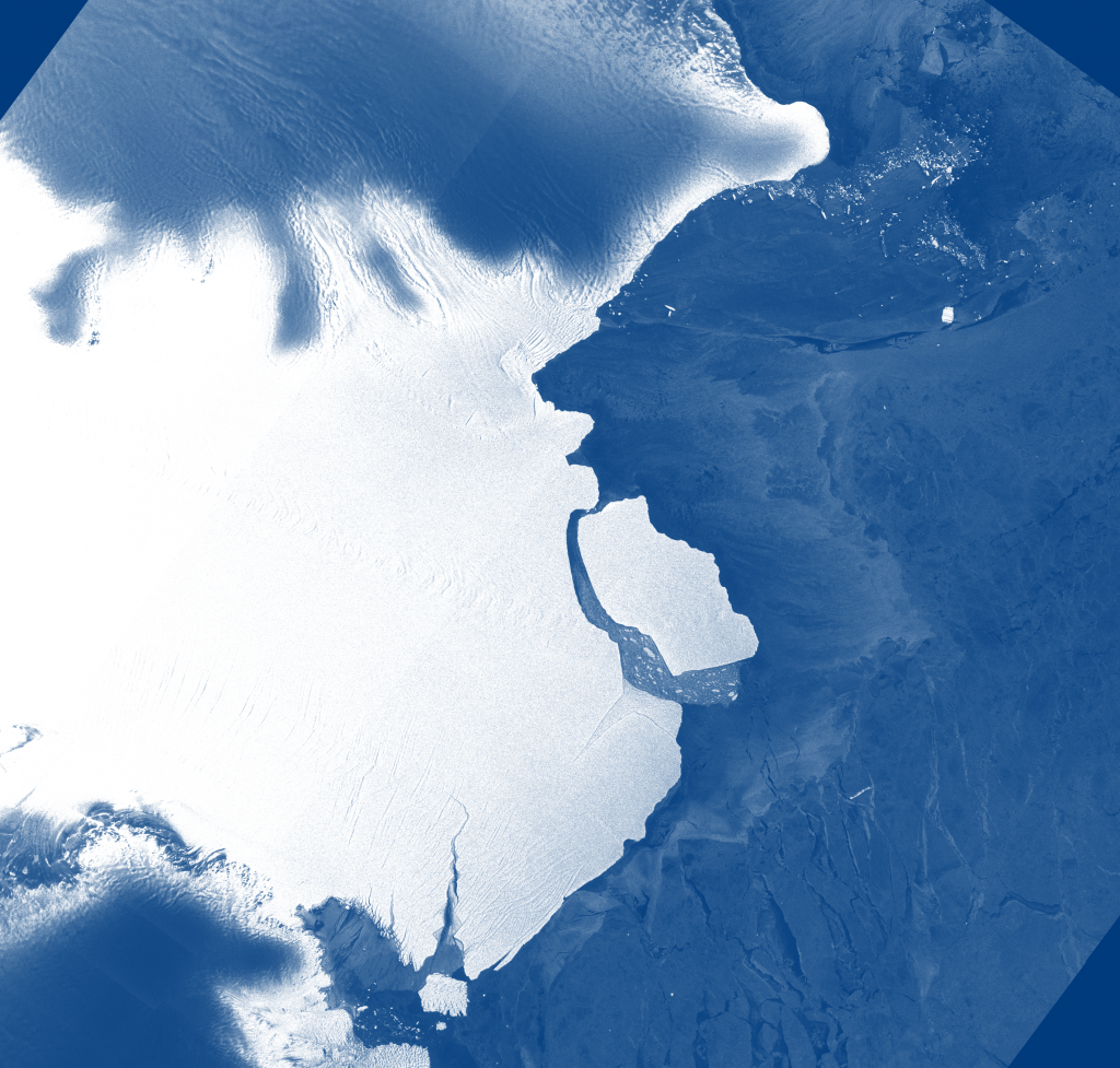 Аккаунт antarctica.gov.au в Twitter