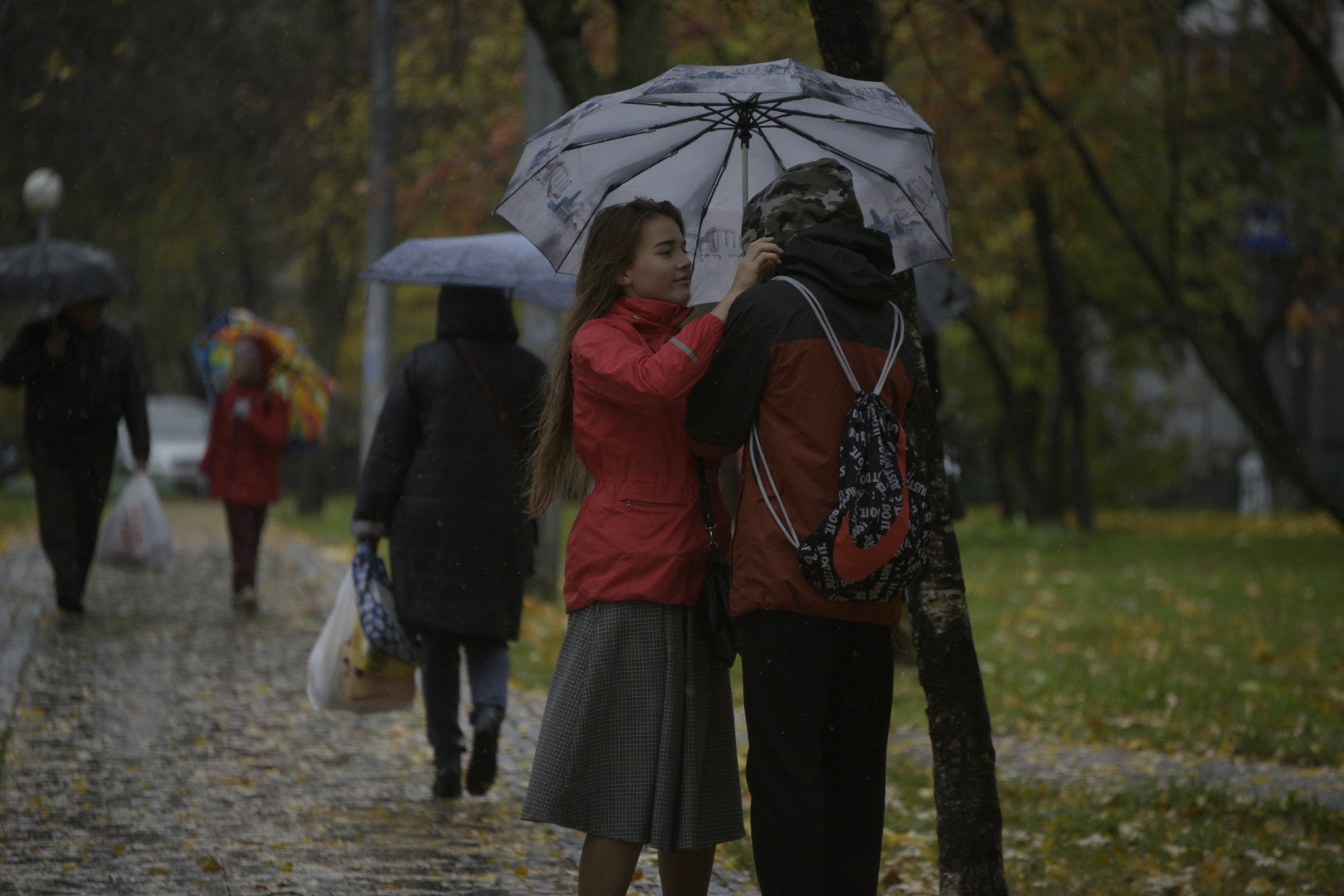 Chilly rain. Гайд парк пасмурный и два человека.