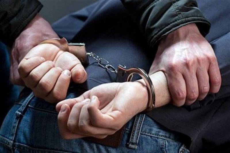 Подозреваемого в ограблении квартиры задержали в Подмосковье