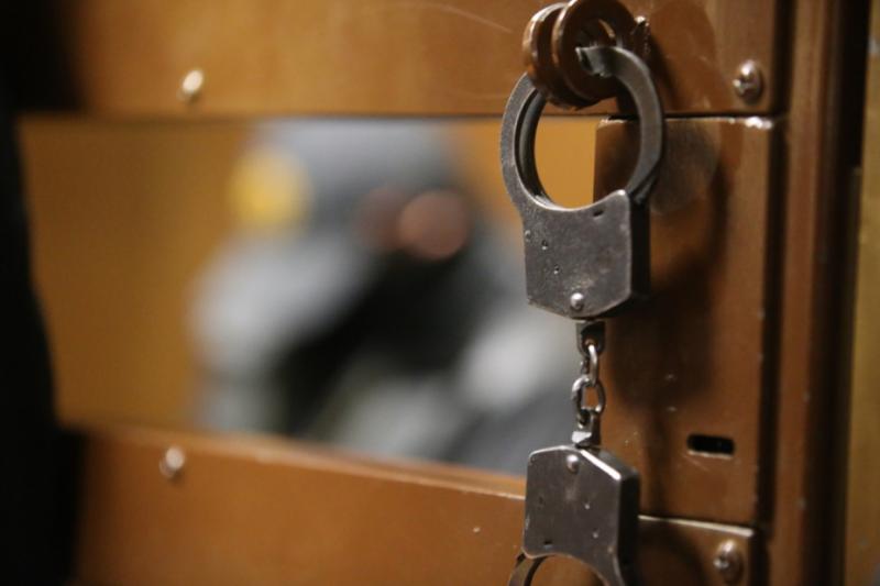 Суд арестовал бойца смешанных единоборств Сосновского по делу о похищении