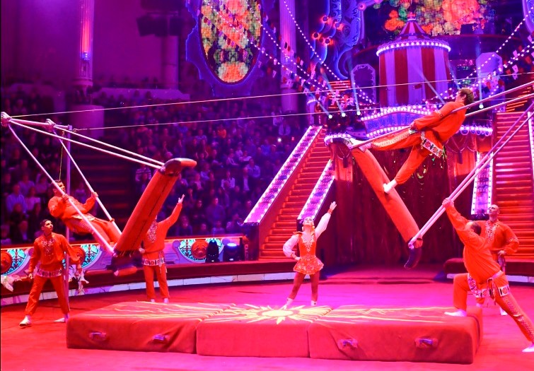 Стали известны подробности падения артиста в Цирке на Цветном бульваре