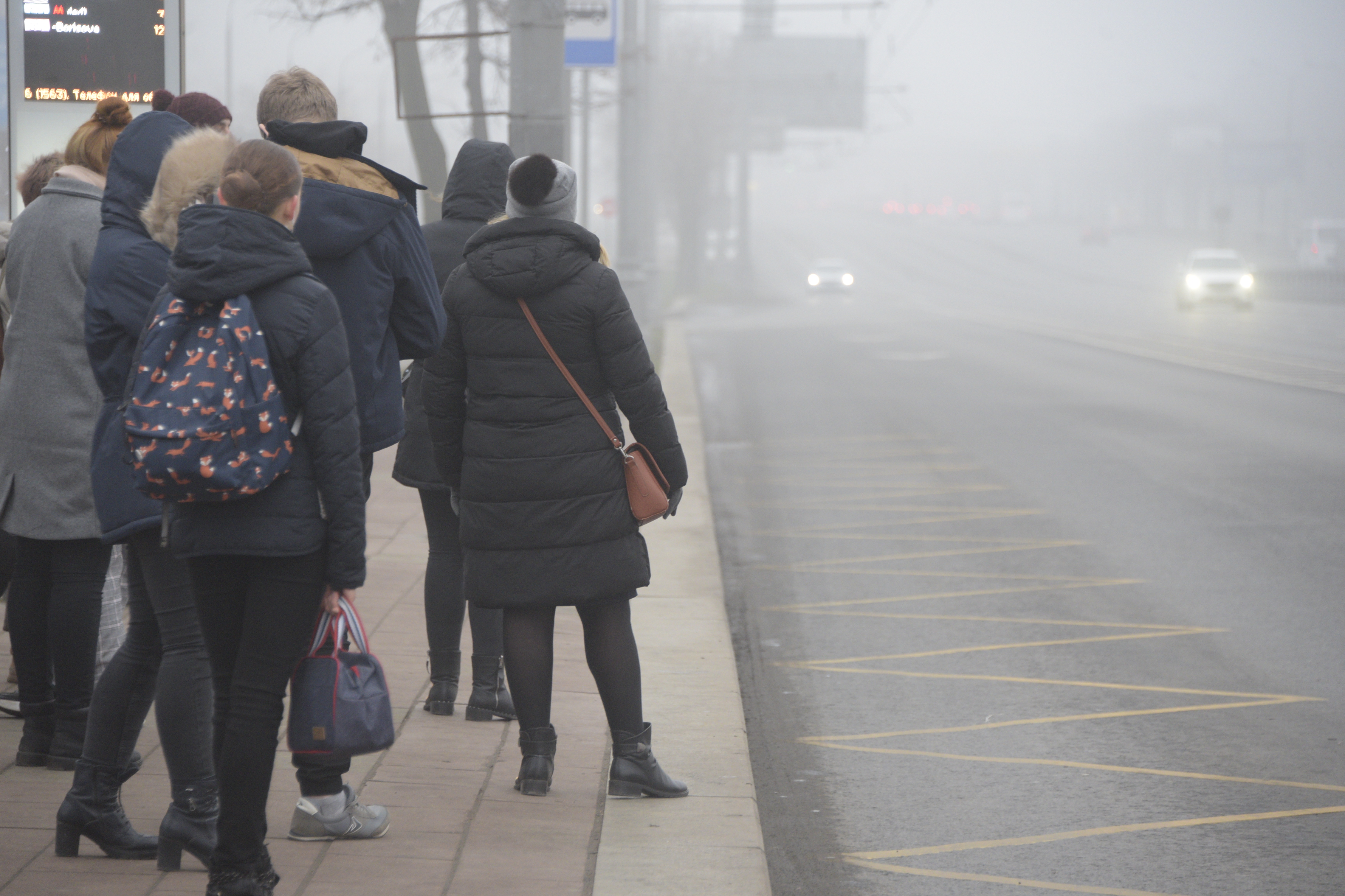 ЦОДД призвал водителей соблюдать дистанцию из-за прогнозируемого тумана