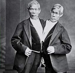 Энг и Чанг Баркеры / Wikipedia/Общественное достояние