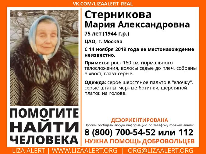 Официальная группа поисково-спасательный отряда "Лиза Алерт" в VK.COM