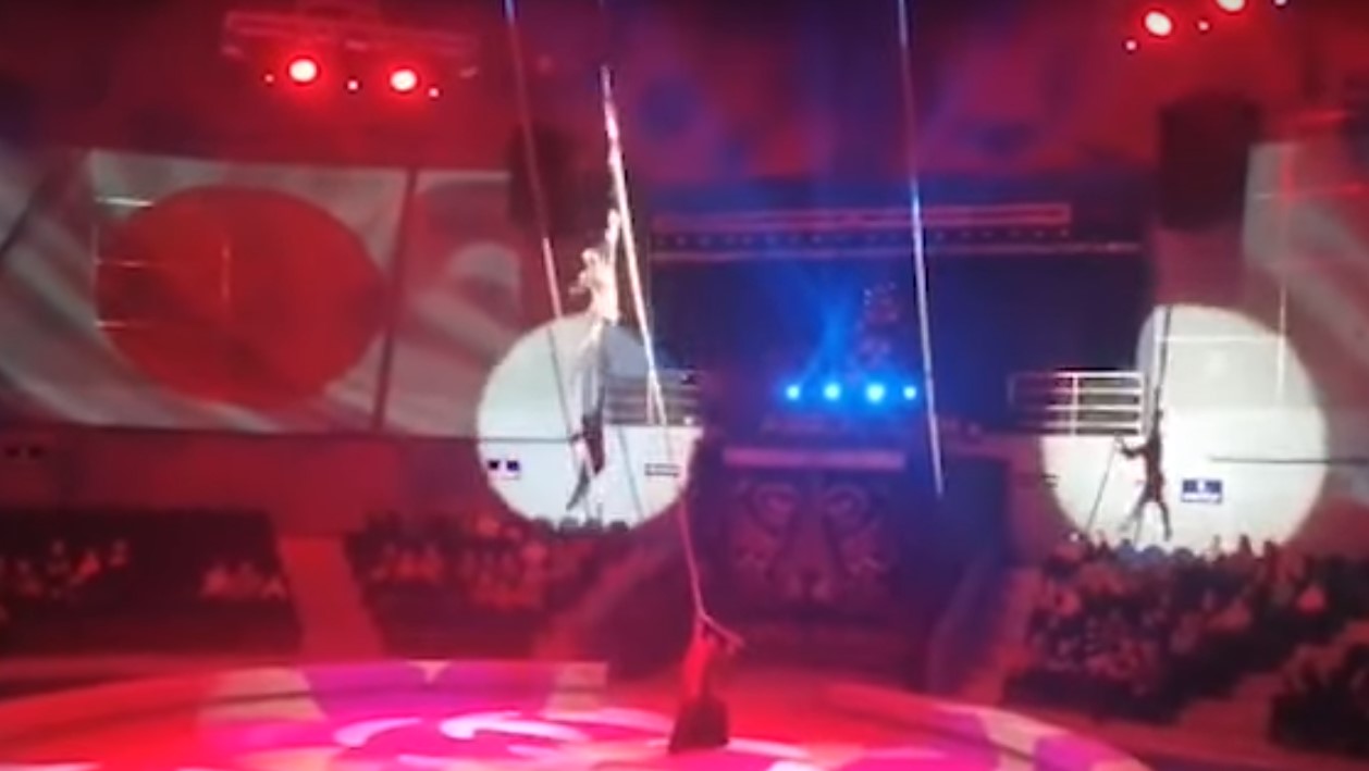 Что случилось с артисткой цирка морозовой. Произошло выступление в цирке. Белорусский цирк воздушные гимнасты 2022. Циркачка упала в цирке во Владивостоке. Несчастный случай в цирке.
