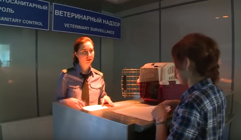 Скриншот видео YouTube