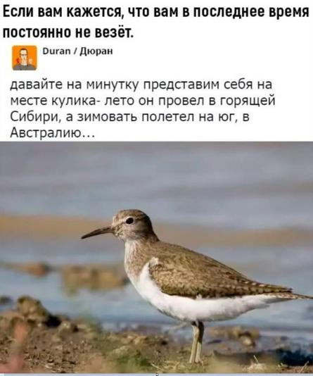 соцсети