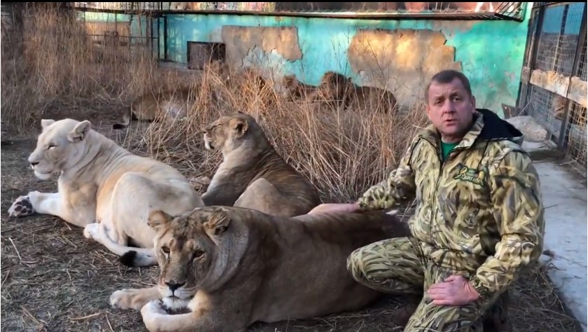 Арестован владелец сафари-парка «Тайган» в Крыму