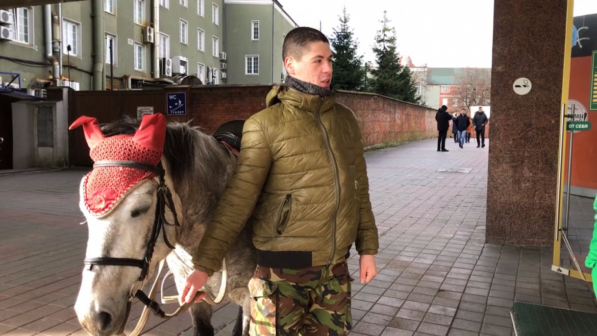 Житель Калининграда догнал грабителя на полупони 