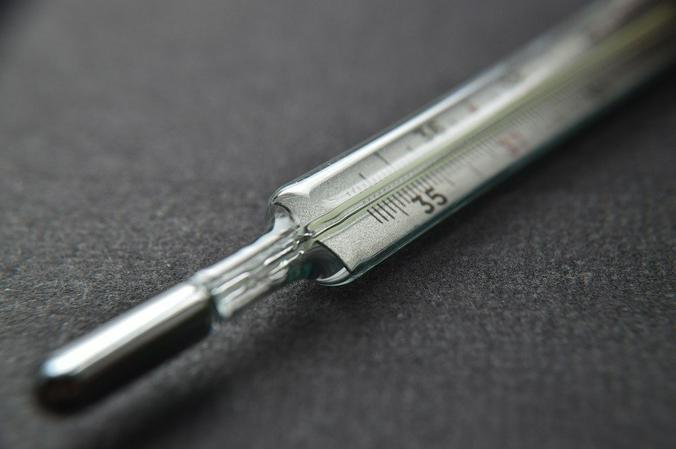 Сколько человек на самом деле переболели гриппом, можно только гадать. По некоторым оценкам, за ширмой ОРВИ грипп скрывается в каждом втором–третьем случае / pixabay.com