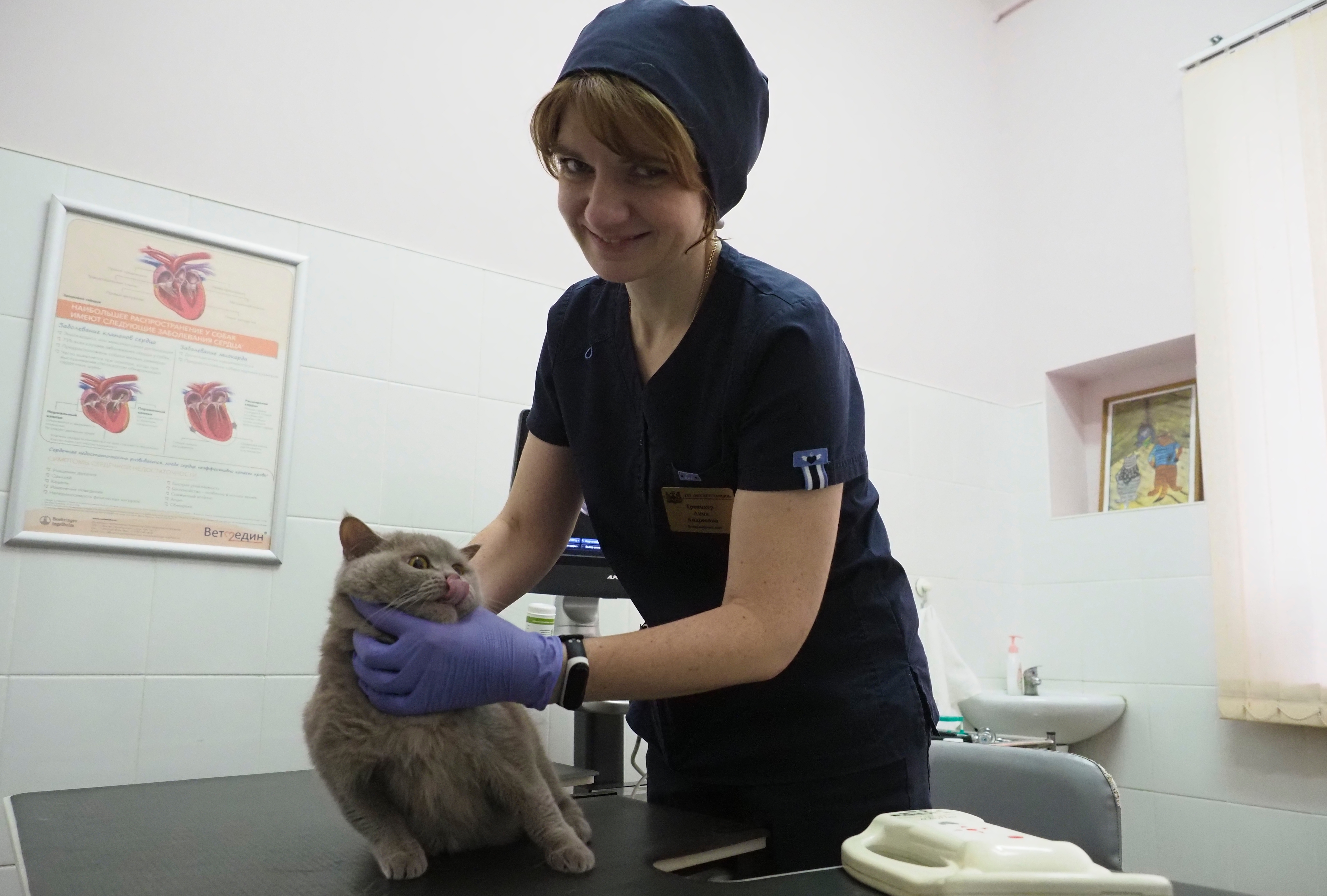 Безопасно и безболезненно: как проходит процедура чипирования животных в Москве