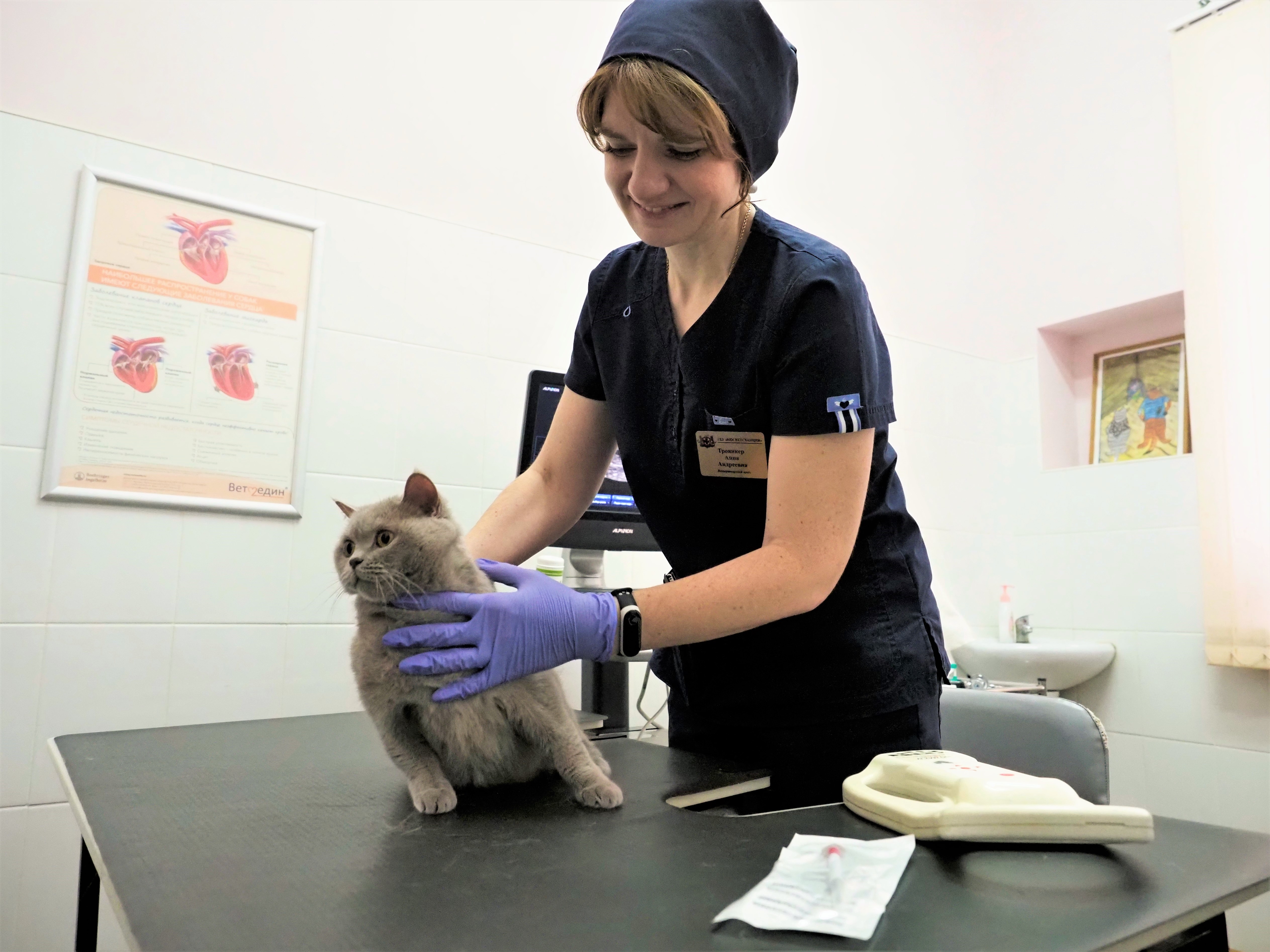 Заболевшие COVID-19 москвичи смогут разместить домашних животных в зоогостинице