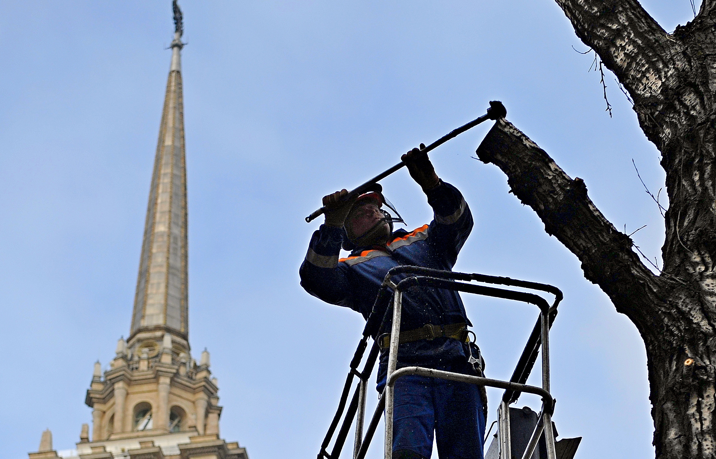 Более тысячи человек привлекли в Москве для обрезки деревьев