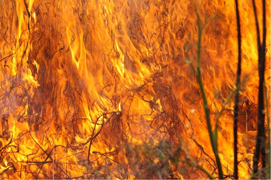 Крупный степной пожар угрожает деревне в Хакасии