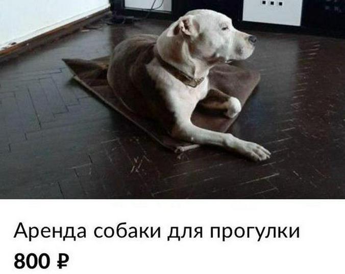 скриншот сайта https://www.avito.ru/