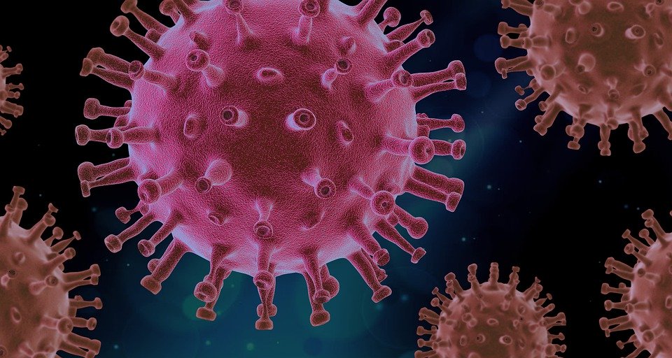 Инфекционист рассказал, сколько коронавирус может жить при низких температурах 