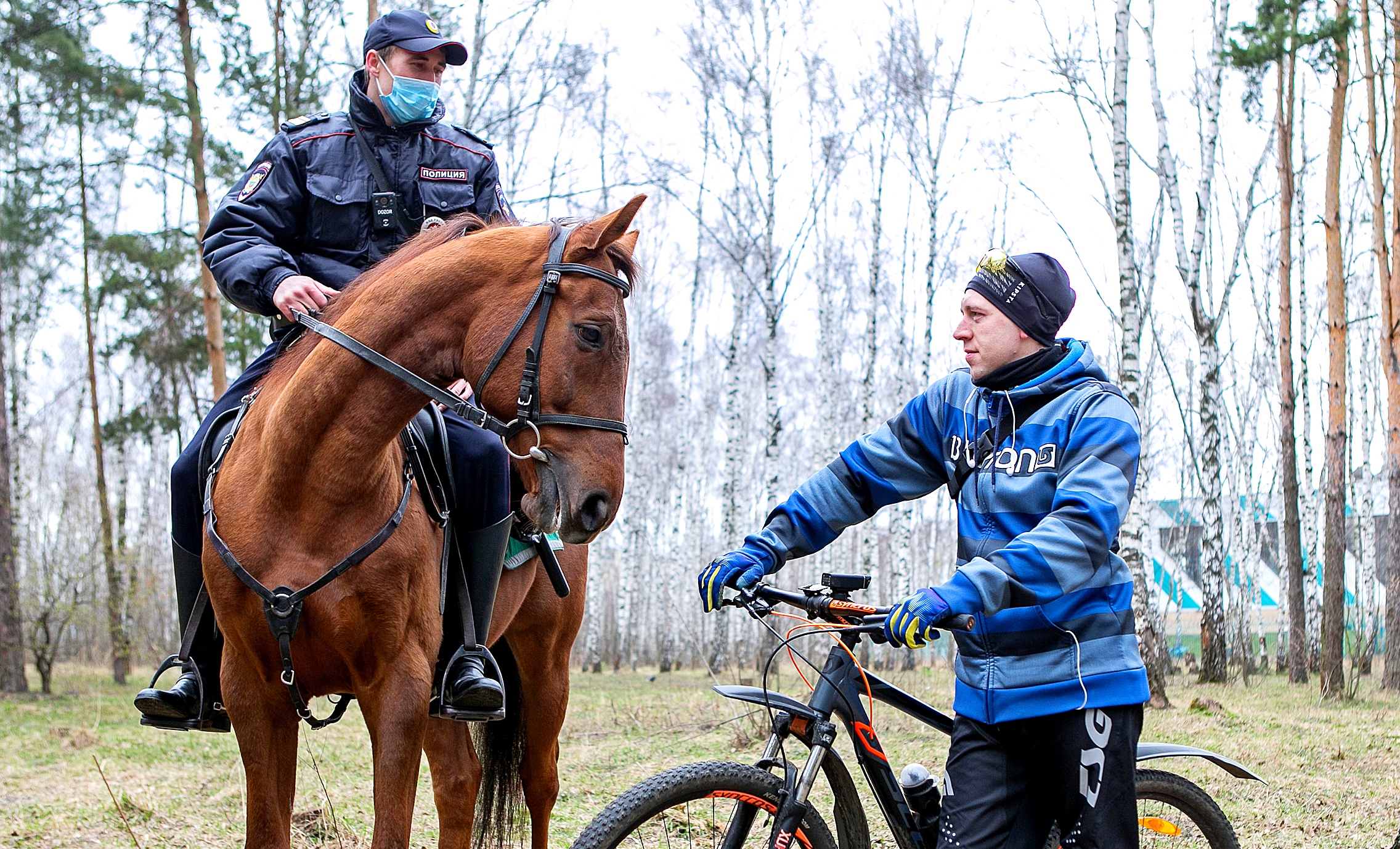 Конная полиция следит за порядком в Жулебинском лесопарке