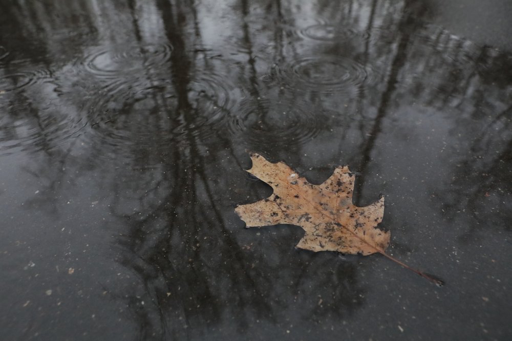 «Черный дождь» прошел в Чувашии