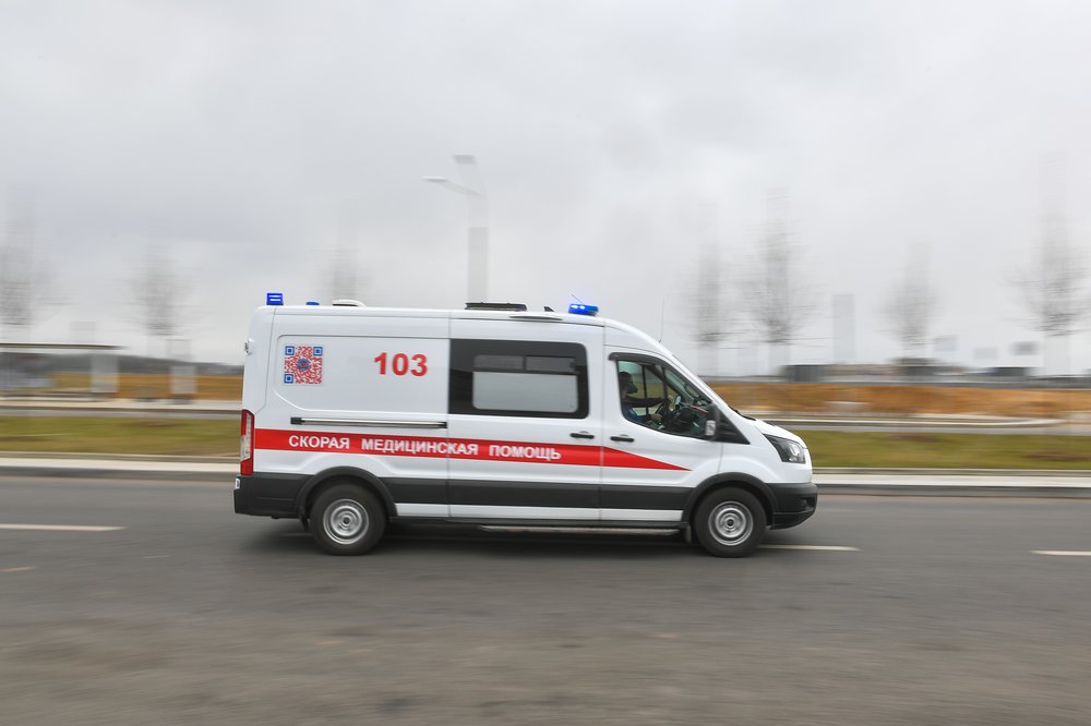Трехлетний мальчик скончался после падения с дерева в Подмосковье