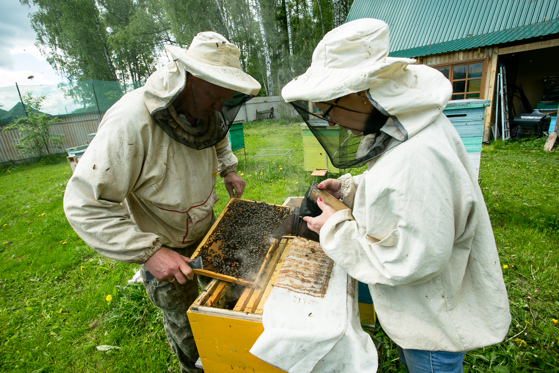 Мосприрода проведет онлайн-лекции о пчеловодстве