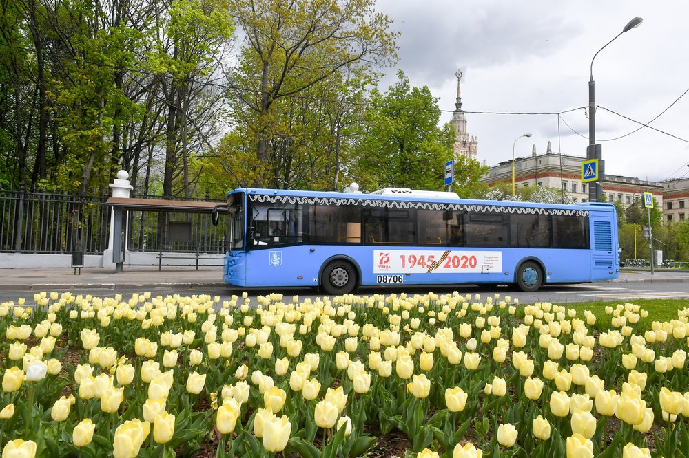 Автобусы на трех маршрутах приостановят перевозку пассажиров до конца лета