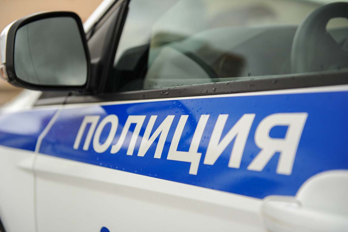 Автобус насмерть сбил девочку на лошади в Московской области