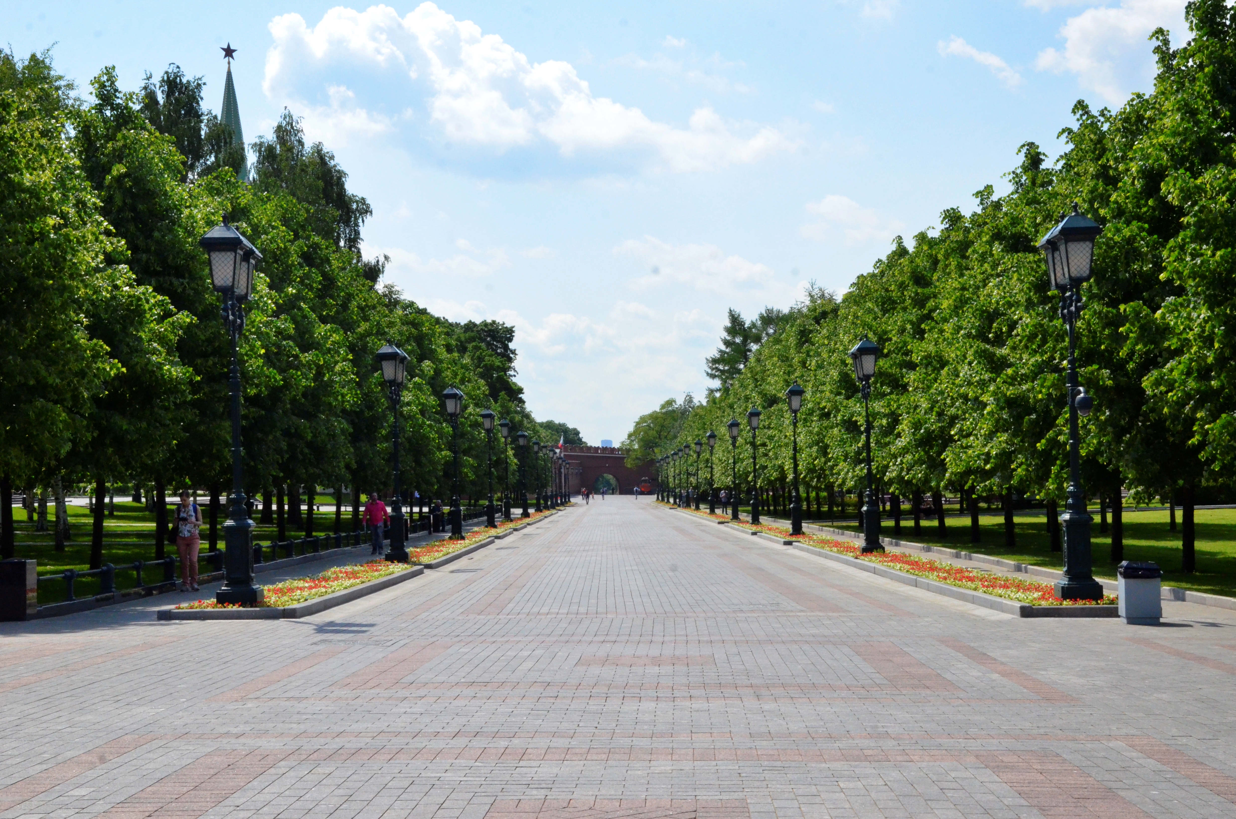 Городские парки столицы. Зеленые насаждения в городе. Зеленые насаждения в городе Москва. Зеленые насаждения Перми. Зеленые насаждения в парке.