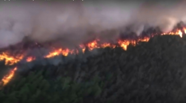 Лесной пожар на Камчатке охватил 750 гектаров территории