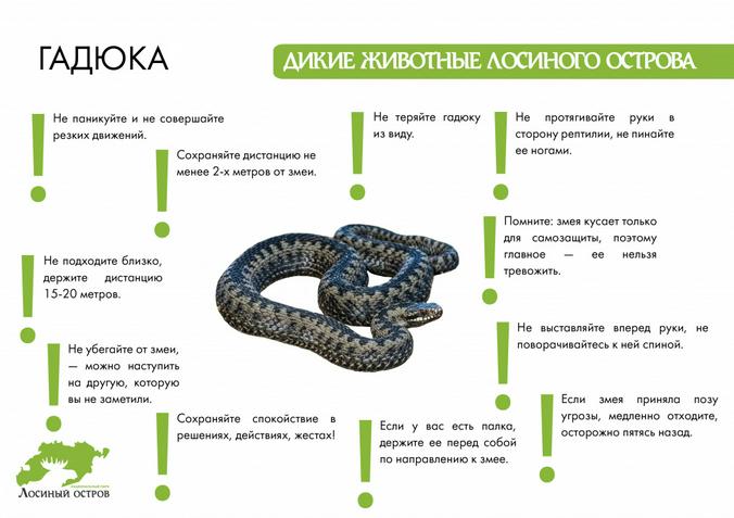 elkisland.ru / сайт парка «Лосиный остров»