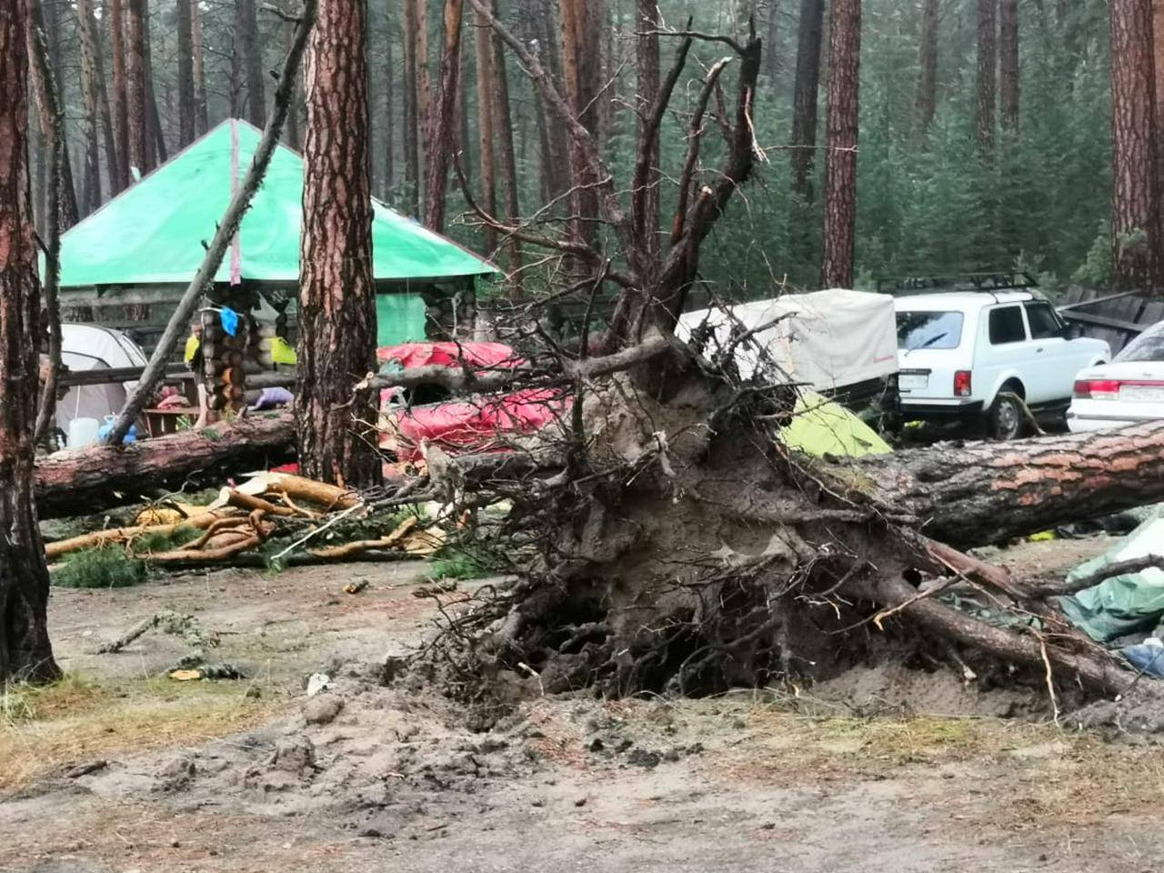 Всех пострадавших из-за падения деревьев под Красноярском госпитализировали