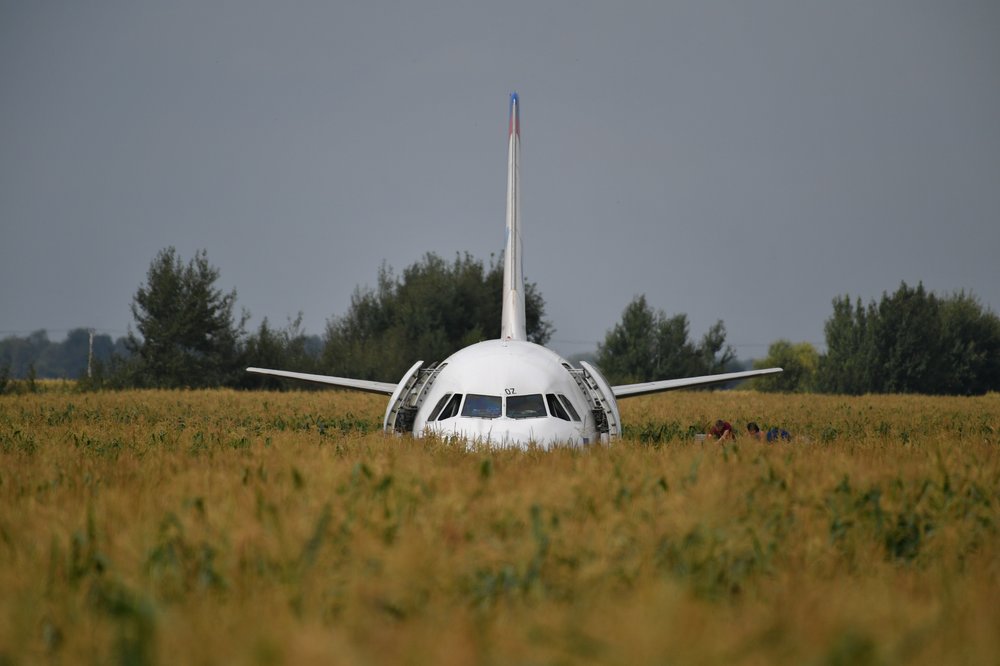 Стюардесса поздравила экипаж самолета А321, который год назад сел в кукурузу