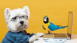 Викторина: Проверь себя. Где в Москве живут африканские ежи и как найти общий язык с попугаем?