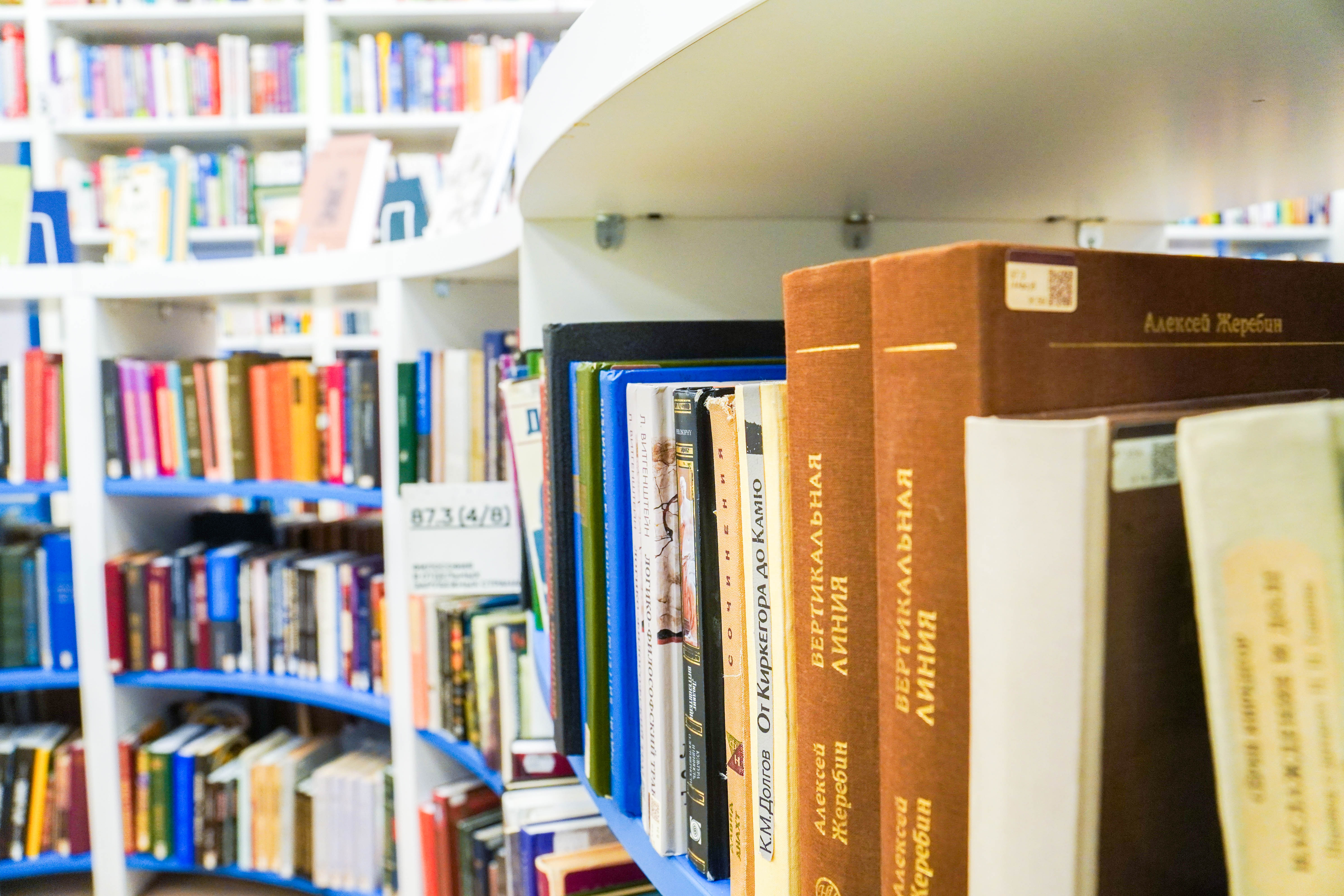 Сотрудники библиотеки №167 подготовят презентацию ко Дню народного единства. Фото: Ксения Догонашева, «Вечерняя Москва»