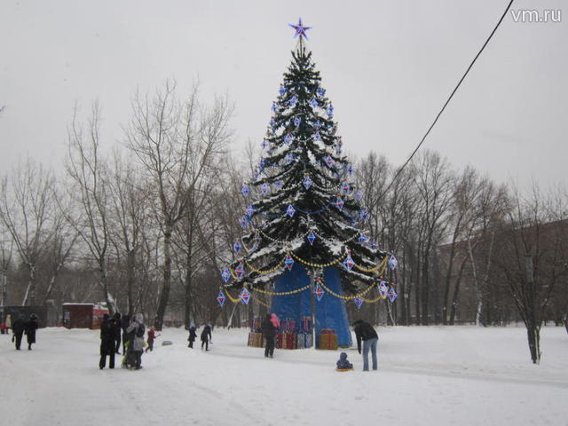 Гончаровский парк каток