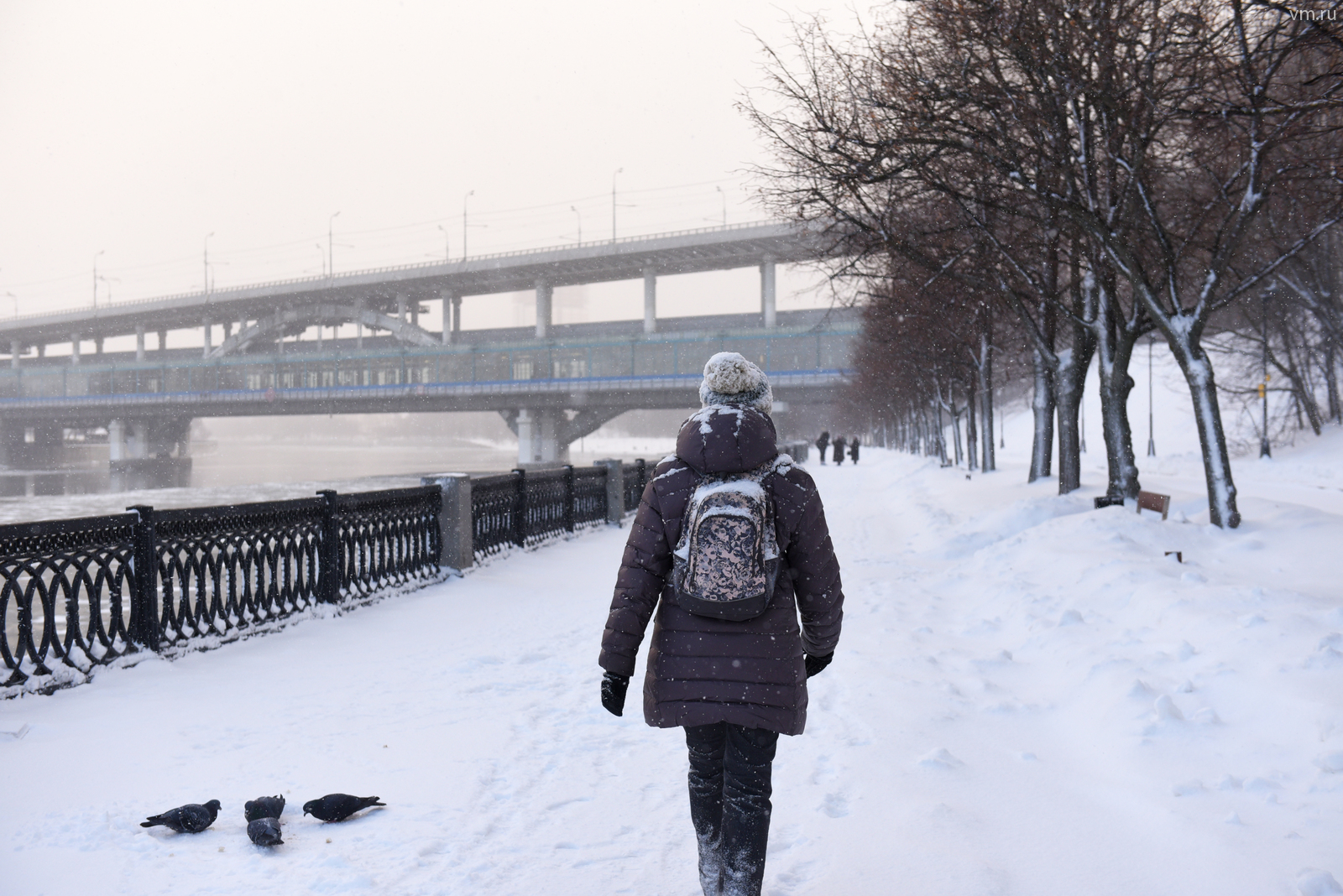 москва. мокрый снег. погода в москве 24 января. зима в россии. осадки мокрый снег.