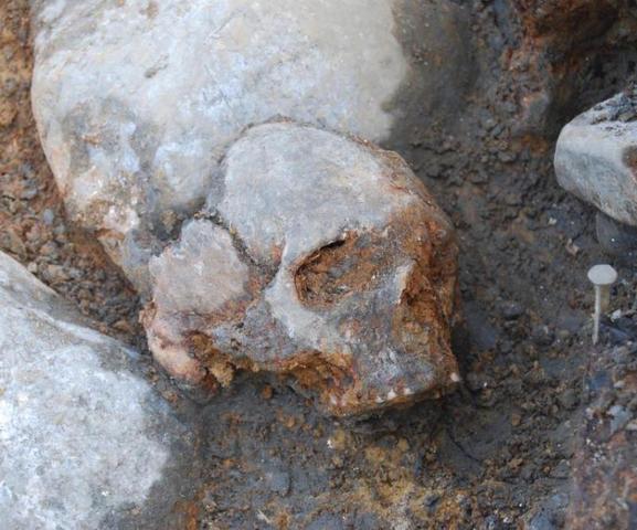 Коллекцию отрубленных голов раскопали во Франции