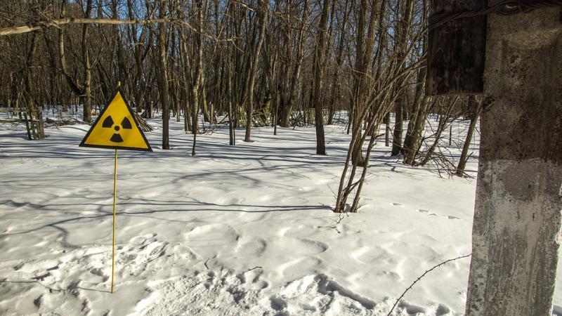 Около 5 гектаров леса горит в Чернобыльской зоне отчуждения