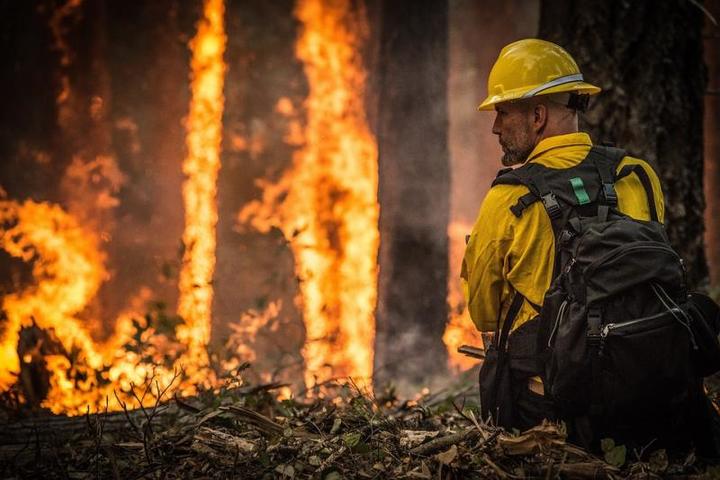 Минобороны и МЧС потушили 23 тысячи гектаров лесных пожаров под Красноярском