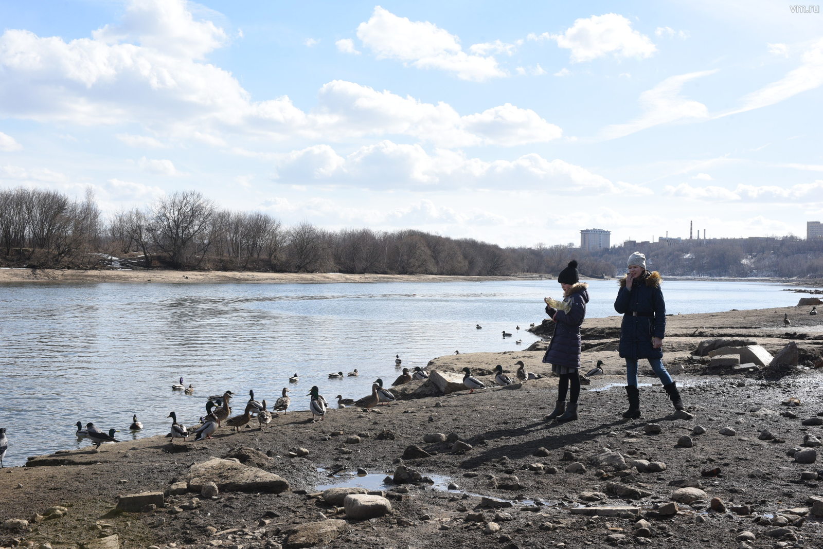 Вести с московских водоемов