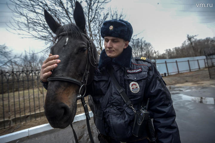 Столичные полицейские рассказали о службе в конном полку