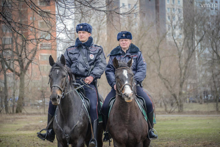Конная полиция. Сержант Владислав Никитенко и капитан Прохоренко Елена / Наталья Феоктистова, «Вечерняя Москва»