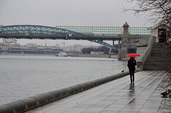 МЧС предупредило москвичей о сильном ветре и дожде в ночь на субботу
